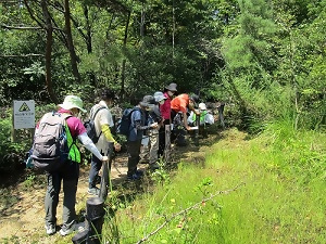 写真:八竜緑地自然観察会の様子