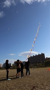 写真:連凧を揚げる様子