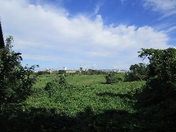 写真：江戸時代末期の御用水取入口(推定位置)