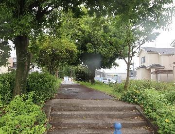 写真：すいどうみち緑道