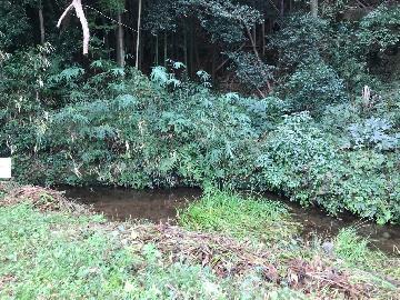 写真：才井戸流(さいどながれ)