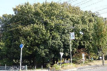 写真：牛牧遺跡(うしまきいせき)