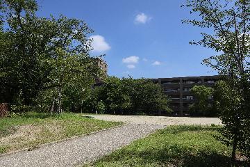 写真：川東山1から4号墳(かわひがしやま1から4ごうふん)