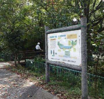 写真：ホタルの里