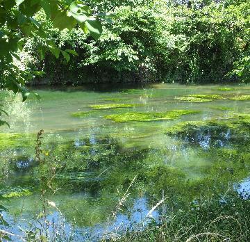 写真：庄内用水路