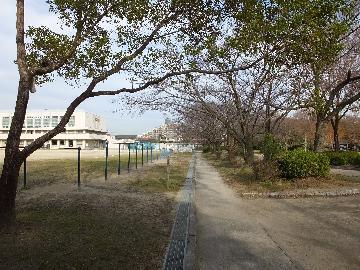 写真：雨池公園(学校公園)