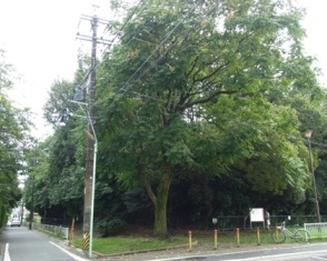 守山瓢箪山古墳の写真