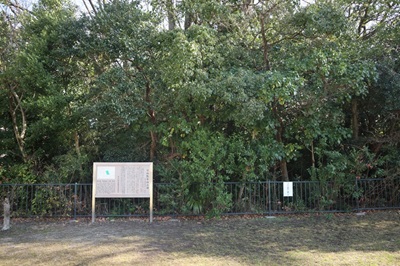 守山瓢箪山古墳の写真