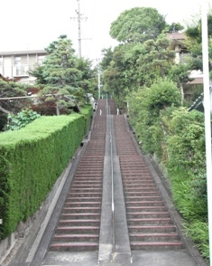 長い階段の写真