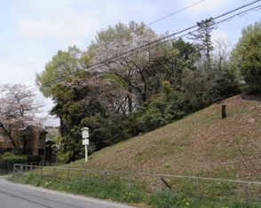 小幡長塚古墳の写真