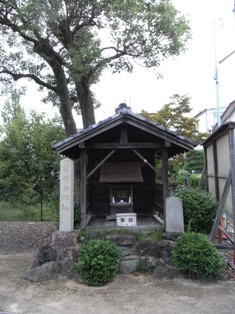 大山祇(おおやまづみ)神社の写真