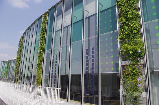 写真：壁面緑化・壁面太陽光パネル