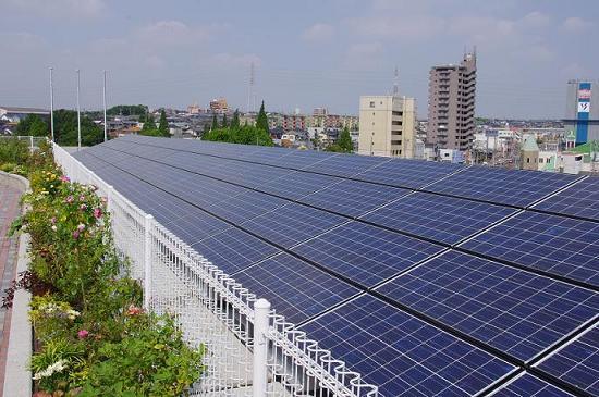 写真：屋上太陽光パネル・屋上緑化