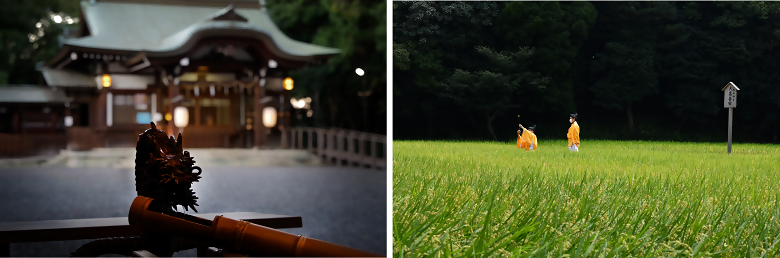 氷上姉子神社で撮影された写真