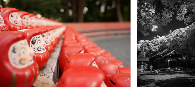成海神社で撮影された写真