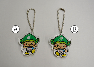 キーホルダー(2種類)の写真