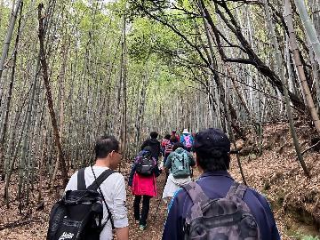 写真:竹林散策路その1