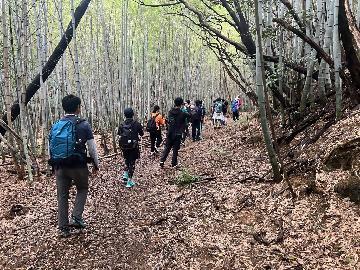 写真:竹林散策路その2
