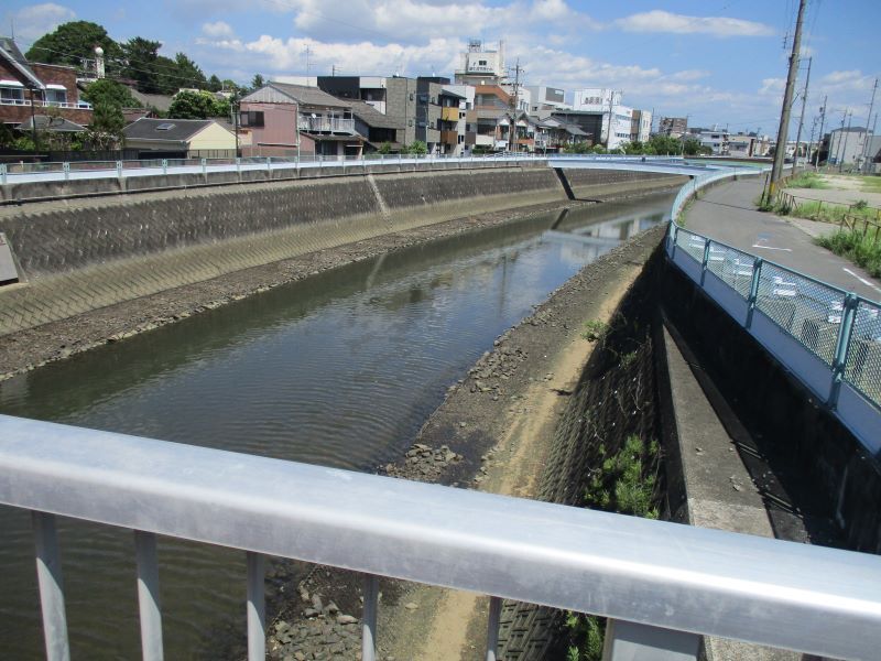 写真:扇川を上流方向へ