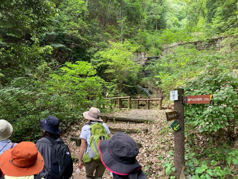 写真:百々ヶ峰の美しい自然、水の流れ