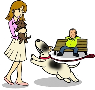 放し飼いの危険性を表すイラスト