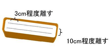 大高菜のタネのまき方について解説するイラスト