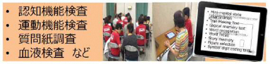 認知機能検査、運動機能検査、質問紙調査、血液検査など