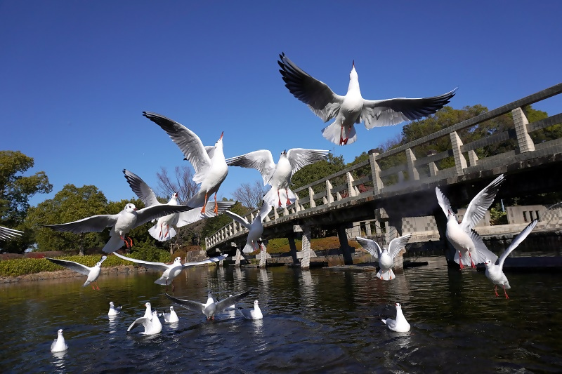 写真:緑区民美術展写真の部市長賞受賞作品
