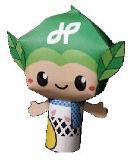 写真：初級編の完成図