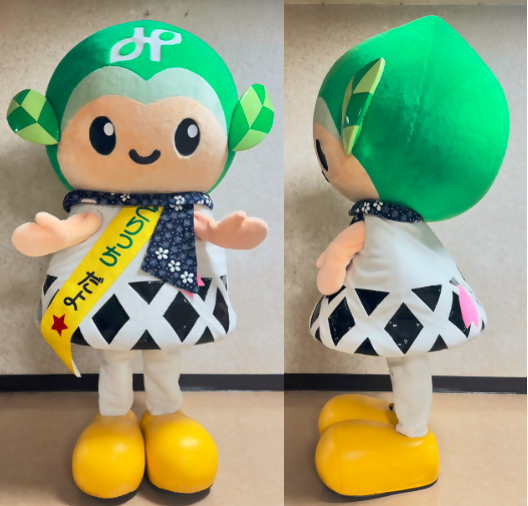 ノーマルみどりっちの正面と横の写真