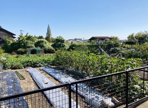 清水寺遺跡の写真1