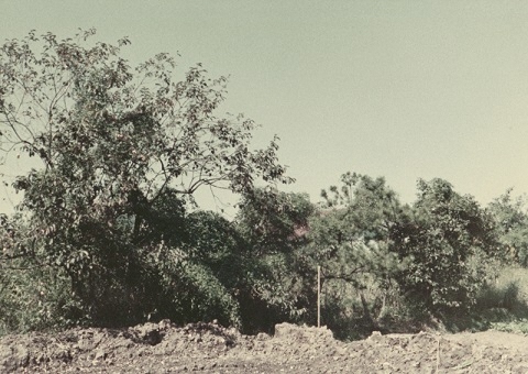 丹下砦跡の写真2