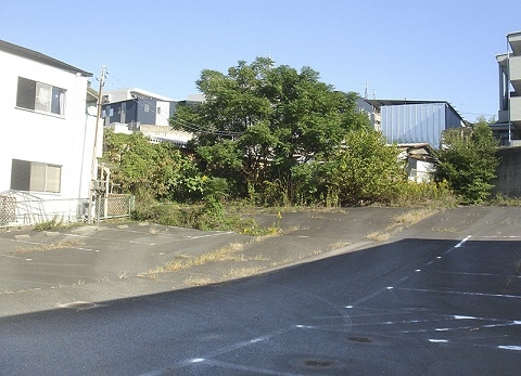 上ノ山遺跡の写真1