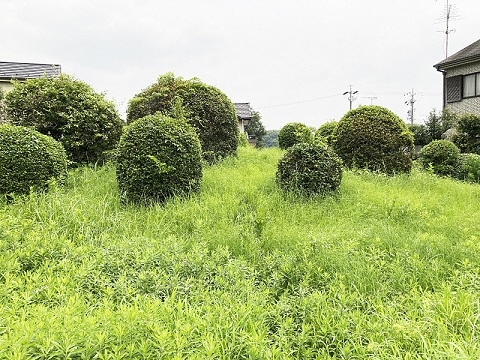 大塚古墳の写真1