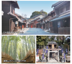 有松コース見どころ写真