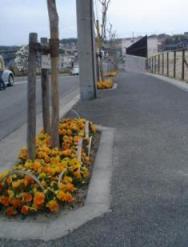 徳重学区の街路樹植えマスの写真