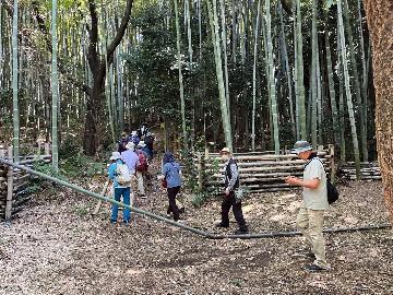 写真：細根山「オアシスの森」を散策