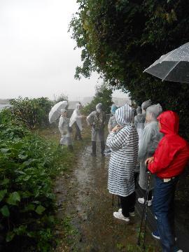 写真：丸根砦跡からの眺望。雨で視界が開かず、残念！