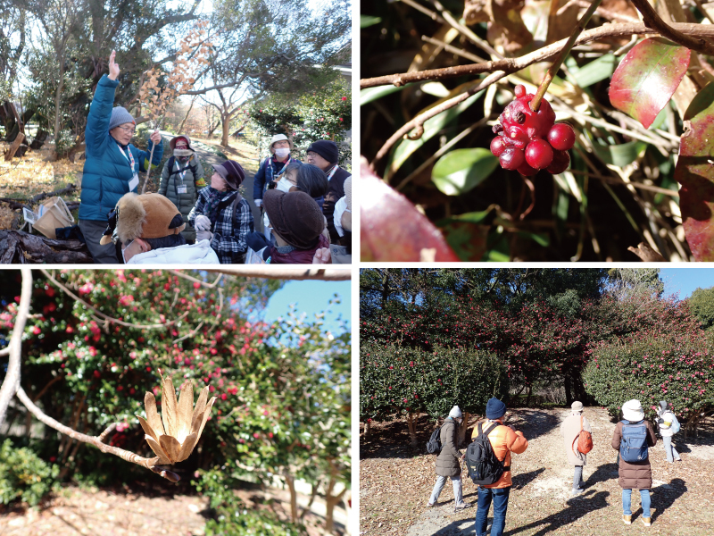 写真:散策時の様子