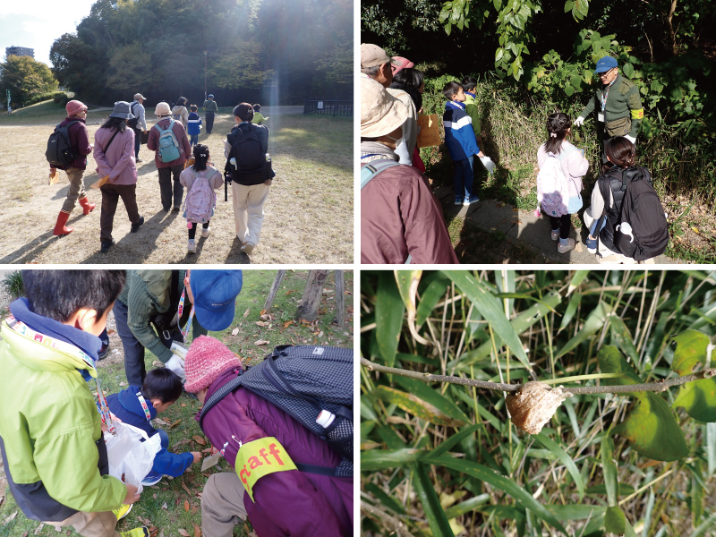 写真:散策時の様子