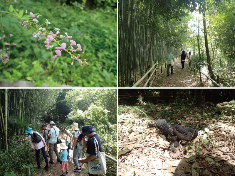 写真:散策会の様子