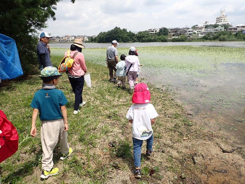 写真:牧野池を散策している様子