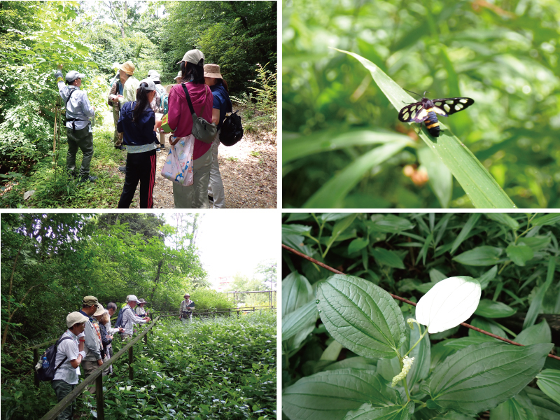 散策会の様子をまとめた写真