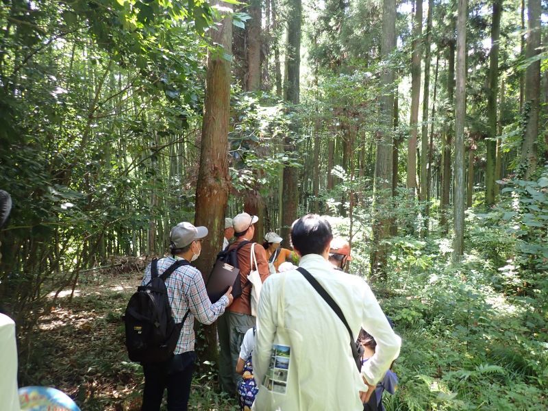 写真:猪高緑地を散策している様子