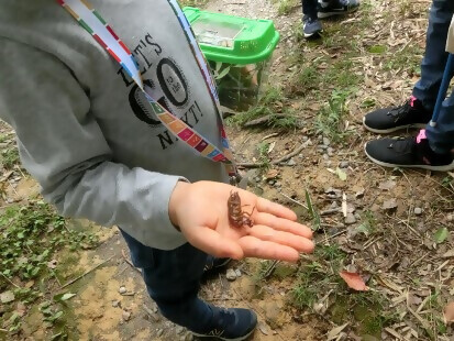 写真:セミの抜け殻を持っている様子