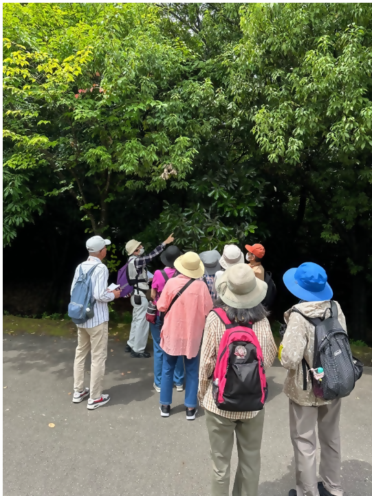 写真:ガイドさんの話を聞いている様子