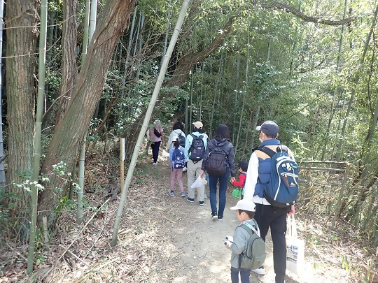 写真:林の中での散策