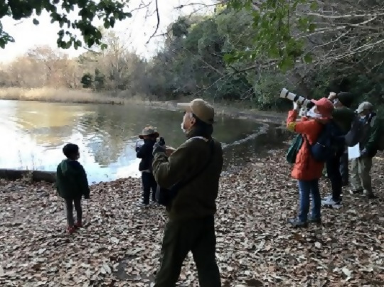 写真:牧野池での観察
