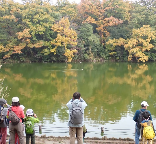 写真:明徳池での観察の様子
