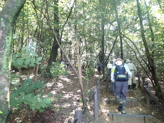写真:棚田コースの散策の様子